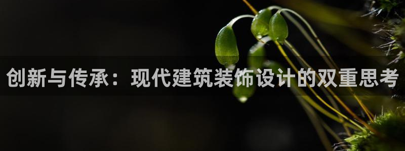 顺盈娱乐下载安装官方网