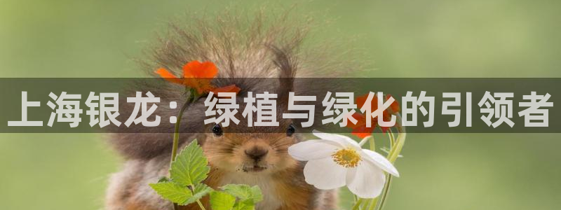 顺盈娱乐注册登录