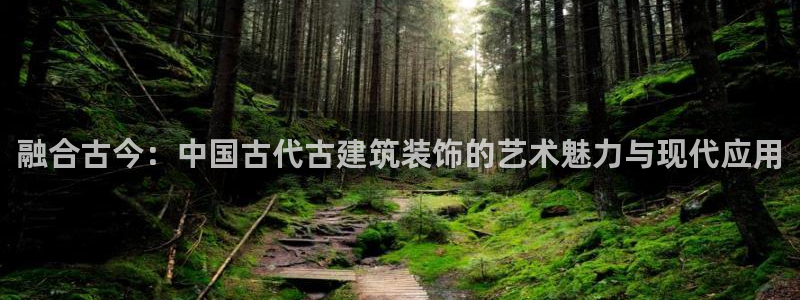 顺盈娱乐下载安装官方版