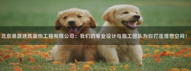 清远顺盈娱乐公司工作