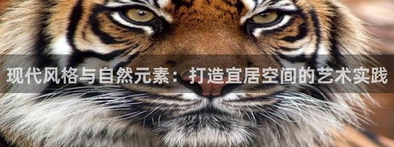 顺盈娱乐在线开户